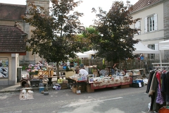 vide grenier - vide jardin  - Cubrial 2012 (37)